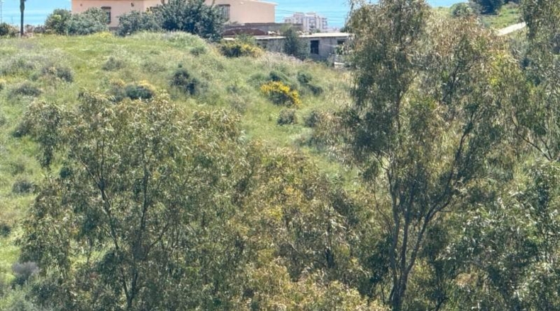 Málaga - Mijas - 26000m2