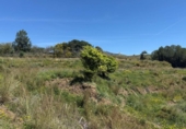 House with land for sale on España, Mijas, ref: TR286665 photo