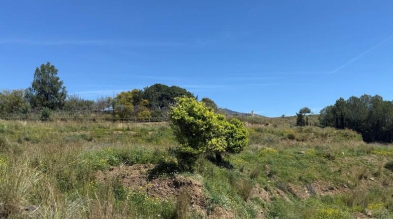 Málaga - Mijas - 26000m2