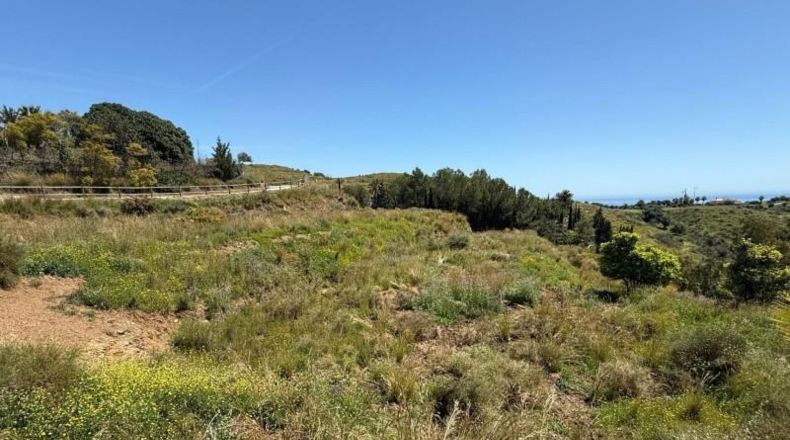 Málaga - Mijas - 26000m2