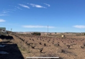 Suelo urbano en venta en la España, Montealegre del Castillo, ref: TR317092 foto