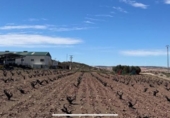 Suelo urbano en venta en la España, Montealegre del Castillo, ref: TR317092 foto