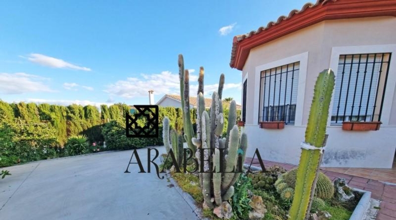 Cordova - La Carlota - 1500m2