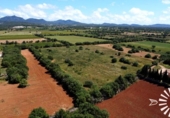 Land suitable for development for sale on España, Felanitx, ref: TR310036 photo