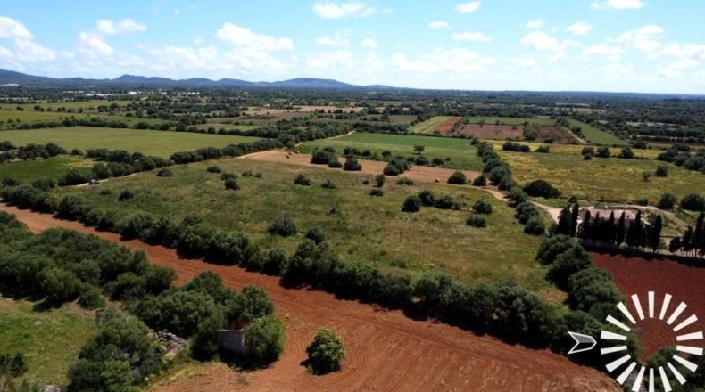 Islas Baleares - Felanitx - 15273m2