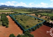 Land suitable for development for sale on España, Felanitx, ref: TR310036 photo