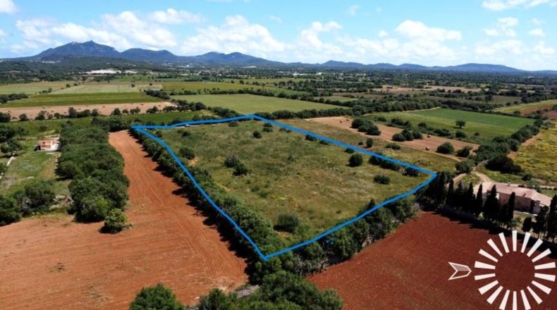 Islas Baleares - Felanitx - 15273m2