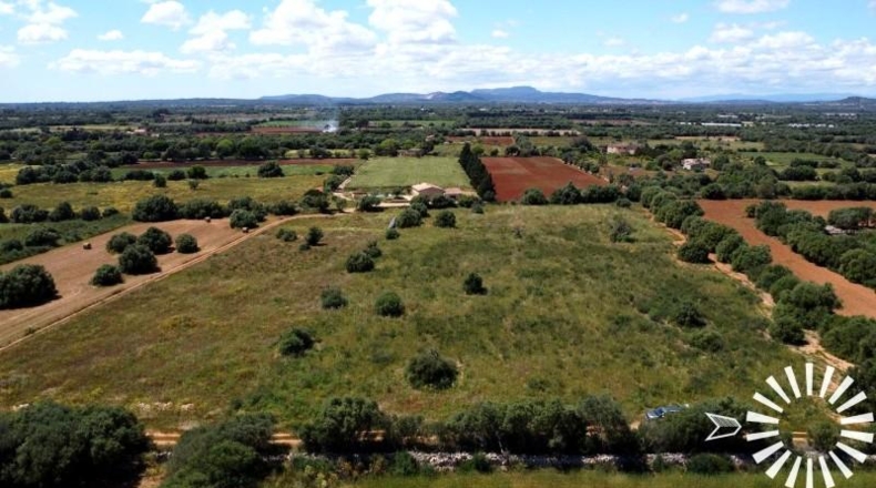 Islas Baleares - Felanitx - 15273m2