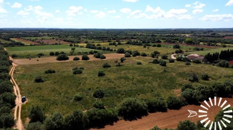 Islas Baleares - Felanitx - 15273m2