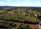 Land suitable for development for sale on España, Felanitx, ref: TR310036 photo