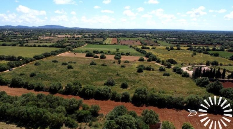 Islas Baleares - Felanitx - 15273m2