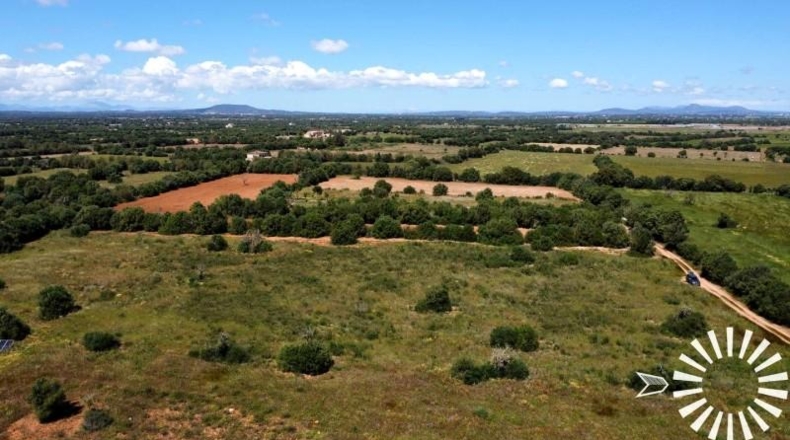 Islas Baleares - Felanitx - 15273m2