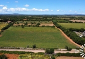 Land suitable for development for sale on España, Felanitx, ref: TR310036 photo