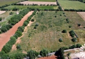 Land suitable for development for sale on España, Felanitx, ref: TR310036 photo