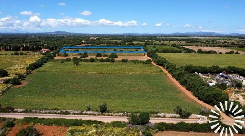 Islas Baleares - Felanitx - 15273m2