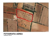 Land suitable for development for sale on España, Felanitx, ref: TR310036 photo