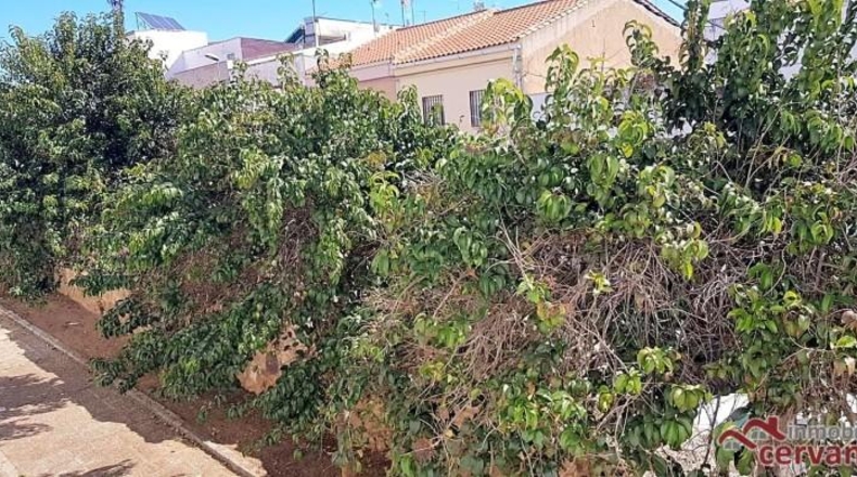 Badajoz - Mérida - 370m2