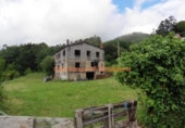Rural estate for sale on España, O Porriño, ref: TR303254 photo