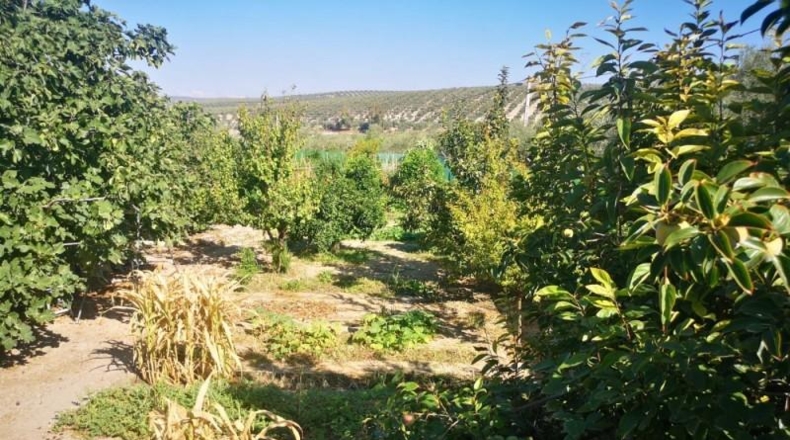 Córdoba - Lucena - 83m2
