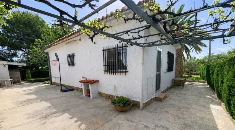 València - Albalat dels Tarongers - 1291m2