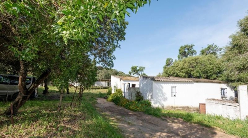 Cádiz - Barbate - 12000m2