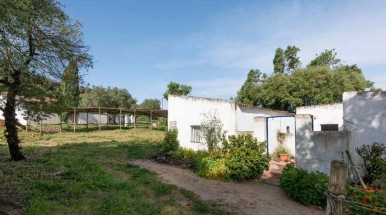 Cádiz - Barbate - 12000m2
