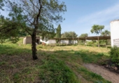 Casa de campo con terreno en venta en la España, Barbate, ref: TR402619 foto