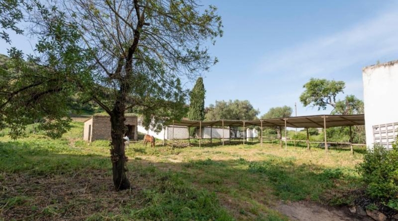 Cádiz - Barbate - 12000m2