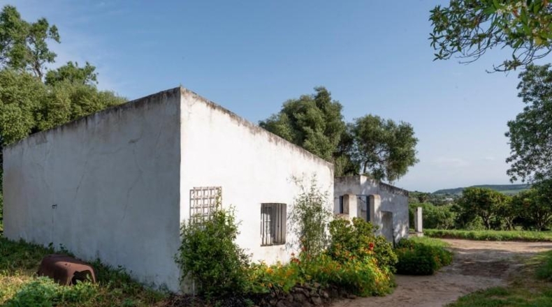 Cádiz - Barbate - 12000m2