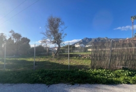 Marbella 430&nbsp;m²