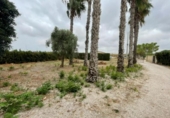 Chalet independiente con terreno en venta en la España, Rojales, ref: TR395343 foto