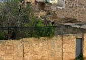 Sòl urbà en venda a la España, Llucmajor, ref.: TR394324 foto