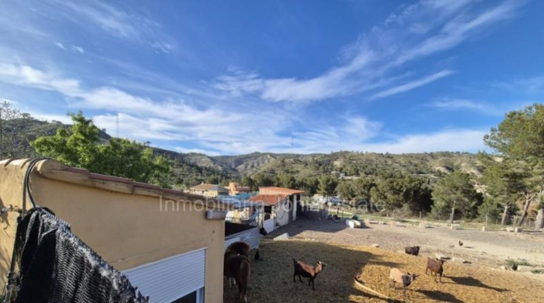 Valencia - Càrcer - 2500m2