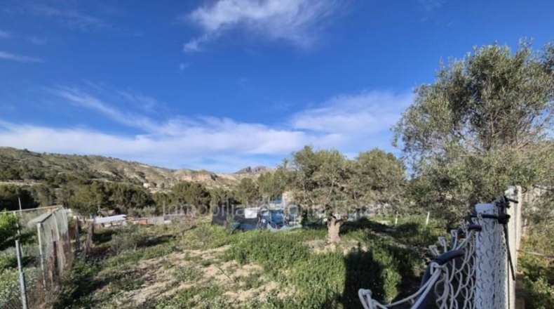 Valencia - Càrcer - 2500m2