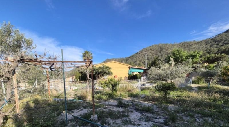 Valencia - Càrcer - 2500m2