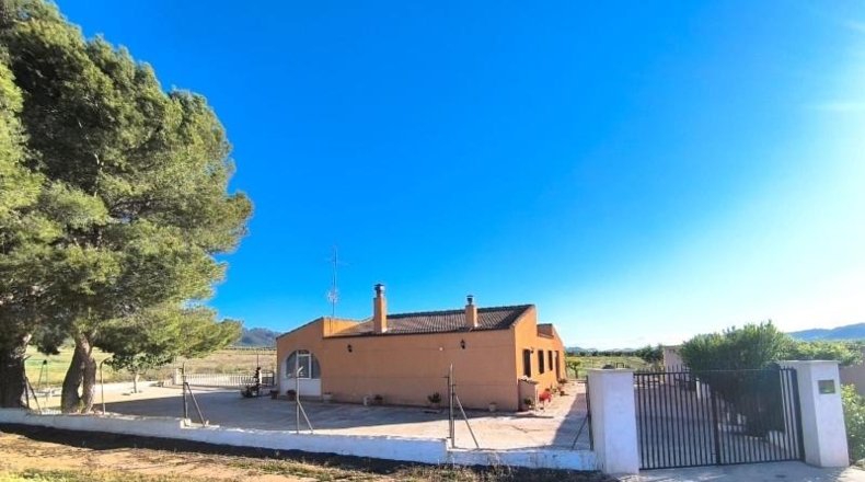 Murcia - Йекла - 24150m2