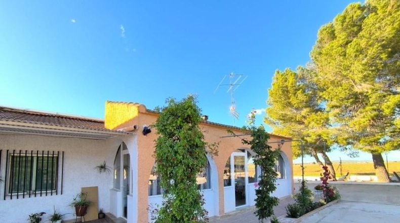 Murcia - Йекла - 24150m2