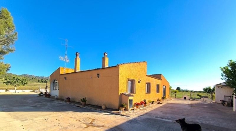 Murcia - Йекла - 24150m2