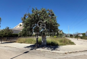 Gandia 548&nbsp;m²