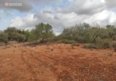 Terreno no urbanizable en venta en la España, Santanyí, ref: TR130755 foto