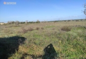 Terreno no urbanizable en venta en la España, Santanyí, ref: TR130755 foto