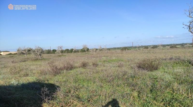 Balearic Islands - Las Salinas - 16050m2
