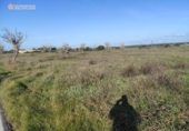 Terreno no urbanizable en venta en la España, Santanyí, ref: TR130755 foto