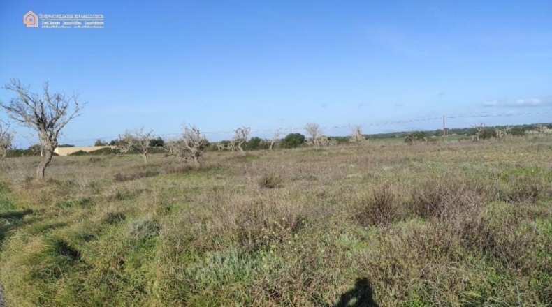 Balearic Islands - Las Salinas - 16050m2
