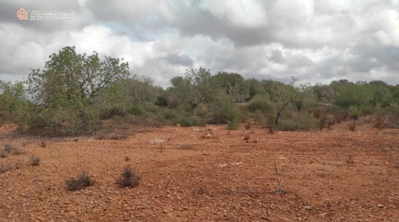 Balearic Islands - Las Salinas - 16050m2