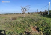 Terreno no urbanizable en venta en la España, Santanyí, ref: TR130755 foto