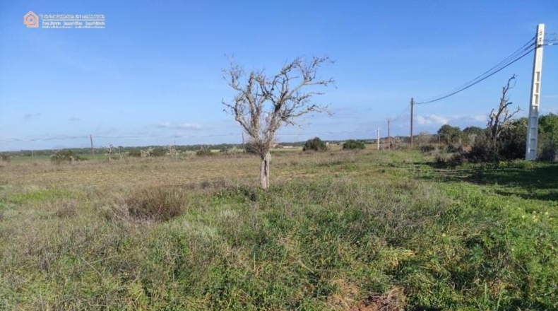 Balearic Islands - Las Salinas - 16050m2