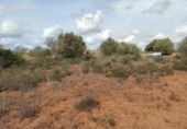 Terreno no urbanizable en venta en la España, Santanyí, ref: TR130755 foto