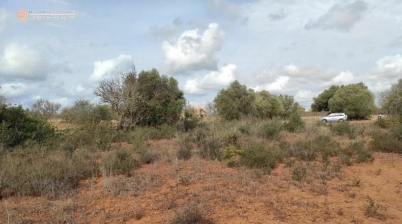 Balearic Islands - Las Salinas - 16050m2