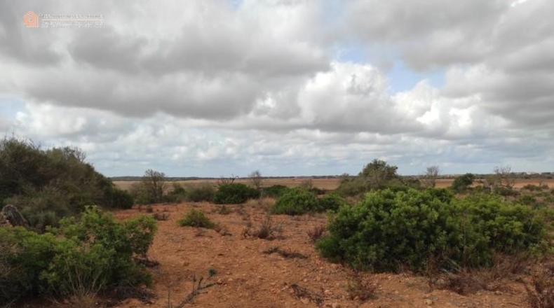 Balearic Islands - Las Salinas - 16050m2
